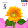 아장아장 그림책 - 꽃(flower)