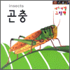 아장아장 그림책 - 곤충(insect)